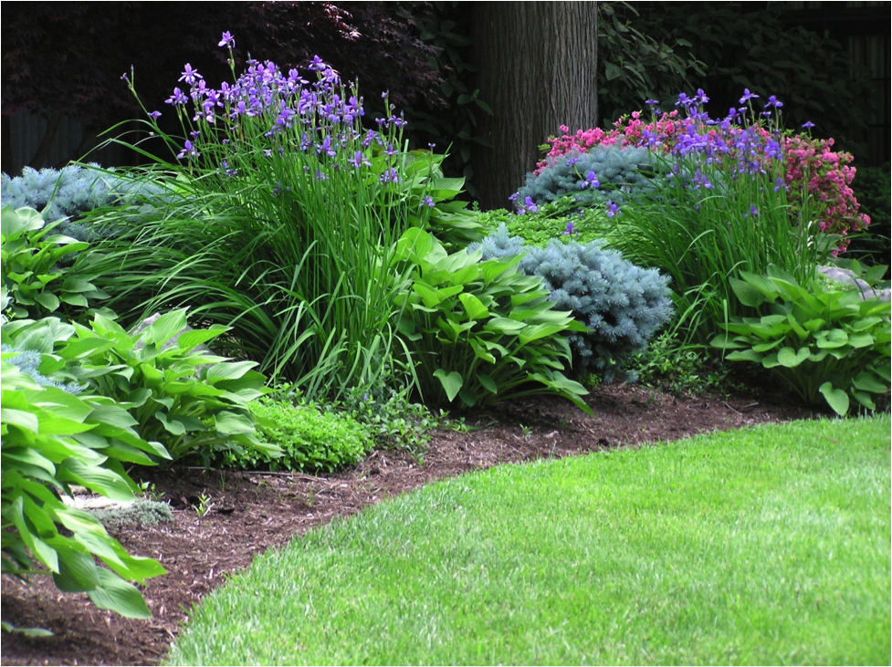 Photo Gallery - Meyer Landscaping